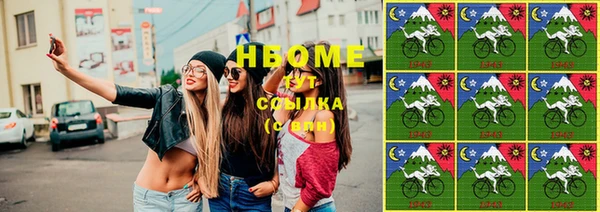 шишки Пересвет