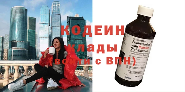 шишки Пересвет
